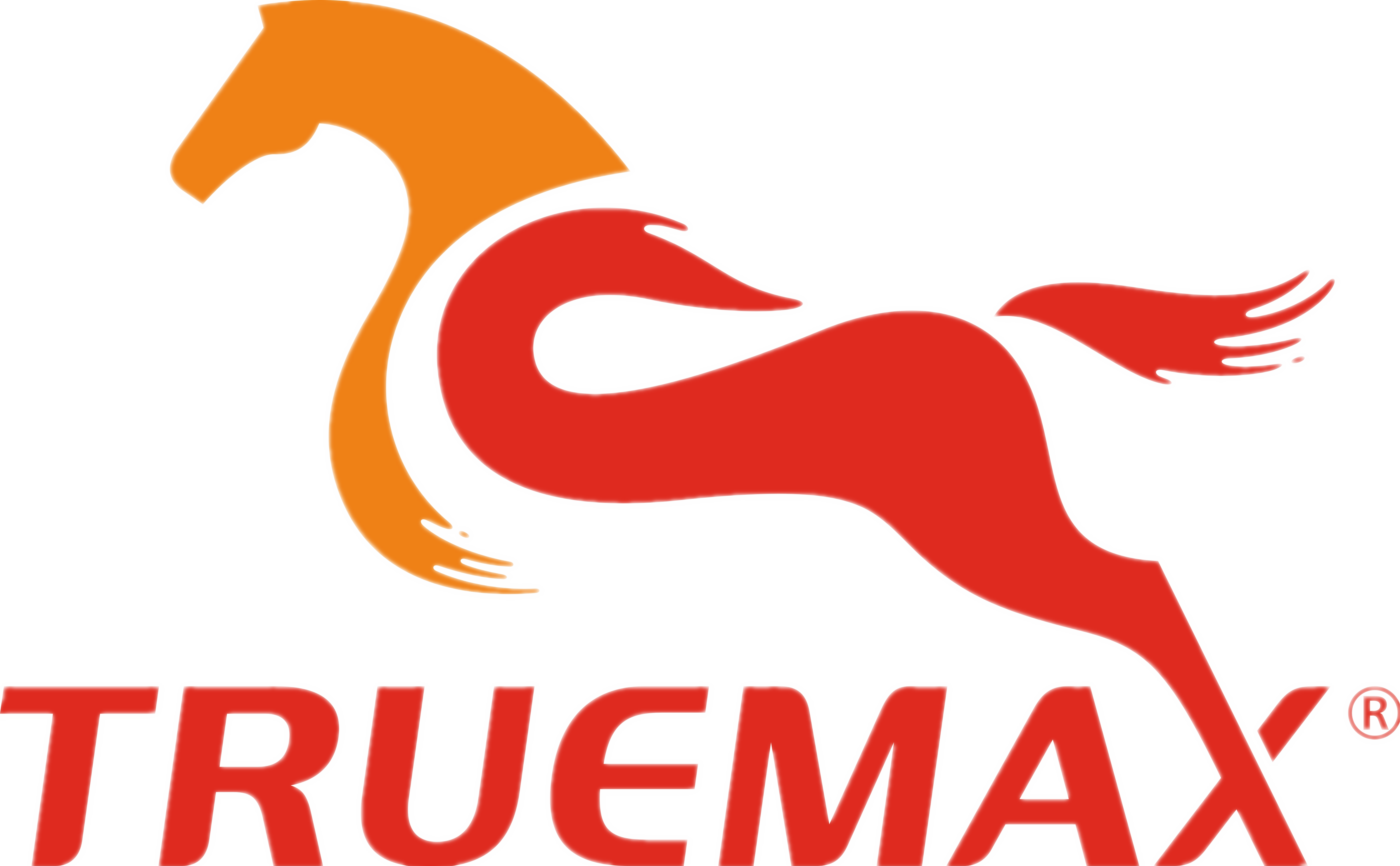 志合者 不以山海为远—TRUEMAX 2022！